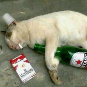 Dirty Daves top 10 hangover&nbsp;cures