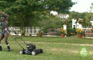 tumblr_mu0hvy8ZOQ1s2gg27o1_400