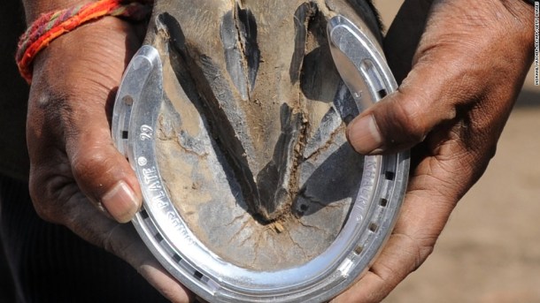 131120110859-horse-shoe-page-top-horizontal-large-gallery