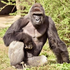 Friday Feelings with Gert 