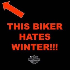 STATUS CHECK: WINTER IS MAYBE NOT&nbsp;DEAD