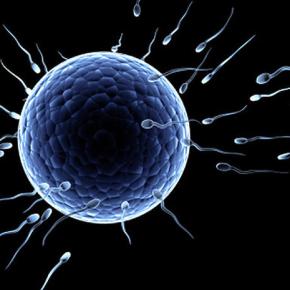 Motivational Mondays