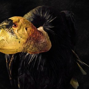 Labor Day weekend pump-up&nbsp;2018