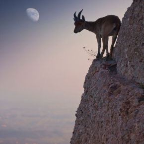 Motivational Mondays